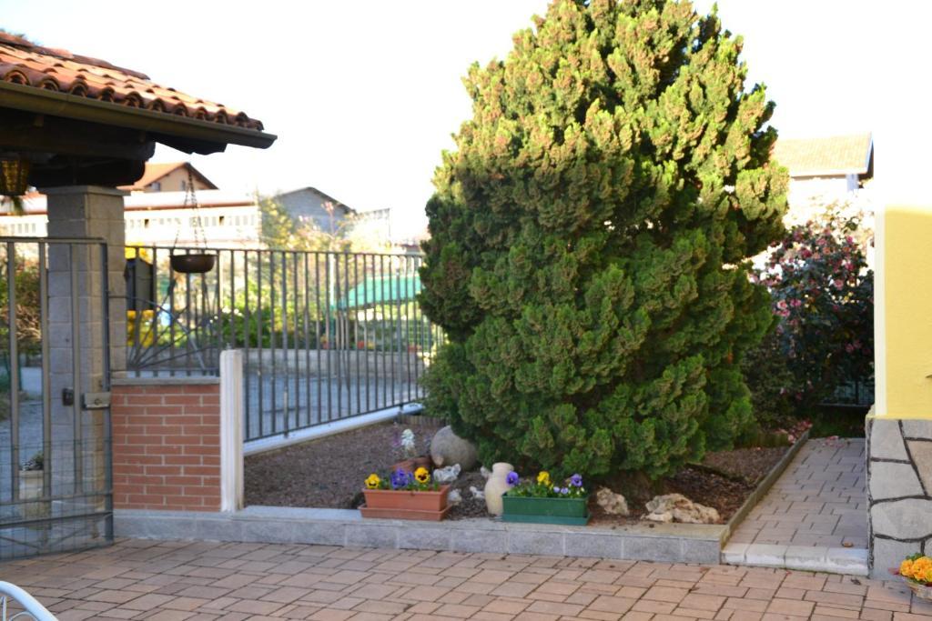 B&B Mimosa Bed & Breakfast *